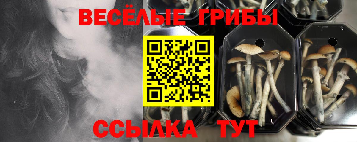 Галлюциногенные грибы прущие грибы  Вход с VPN  Мариинск 
