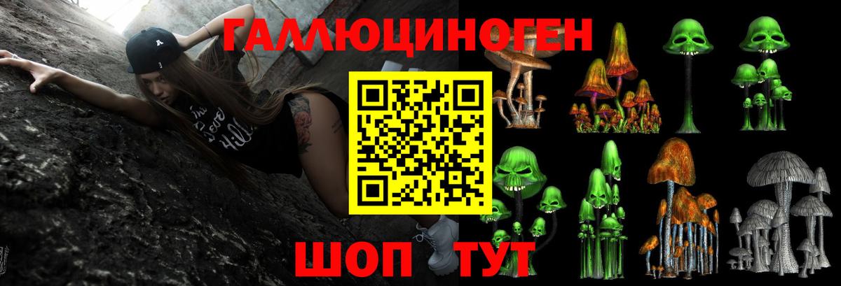 Псилоцибиновые грибы GOLDEN TEACHER Мариинск